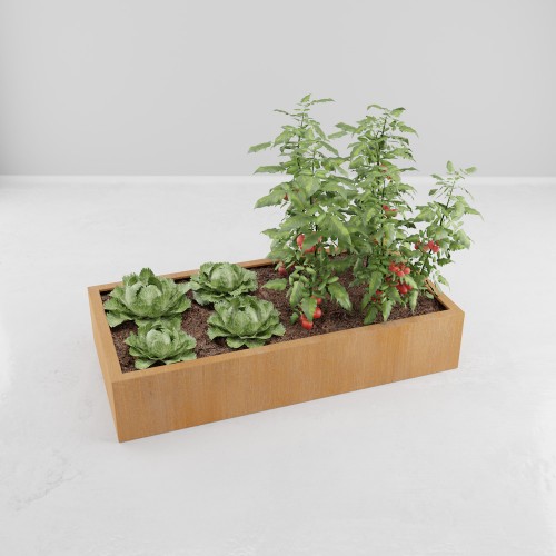 CARRE POTAGER CORTEN MODULE RECTANGLE