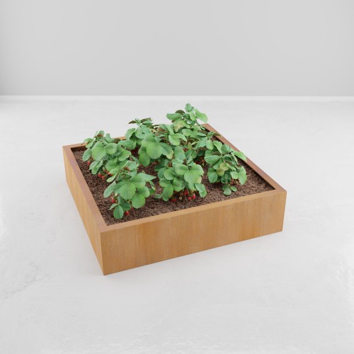 CARRE POTAGER CORTEN MODULE CARRE